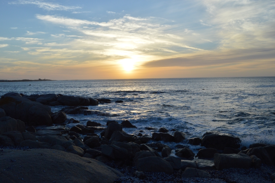 2 Bedroom Property for Sale in Steenbergs Cove Western Cape